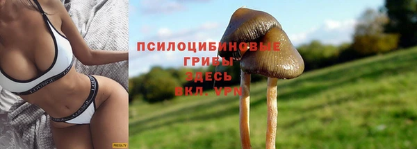 амф Дмитровск