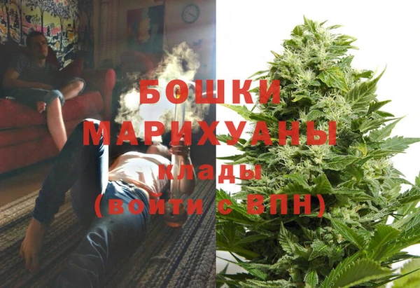 молекула духа Дмитриев