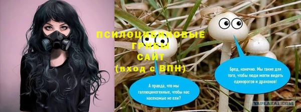 молекула духа Дмитриев