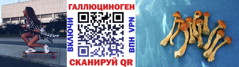 Галлюциногенные грибы GOLDEN TEACHER  Пойковский 